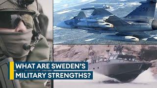 Natos newest member Sweden packs a small but powerful military punch