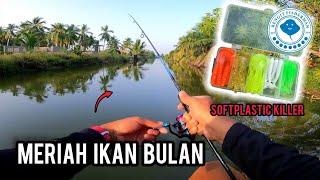 Casting Ikan Bulan  PARIT PANJANG MENJADI LUBUK IKAN BULAN  DEVIL CRAFT CETTUS ATTACK  Vlog375