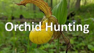 Orchid Hunting