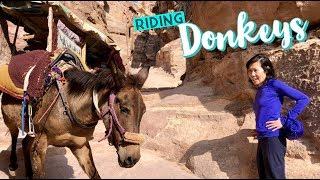 Exploring PETRA by foot and on donkeys Part 2 a travel guide on what we wish we had known