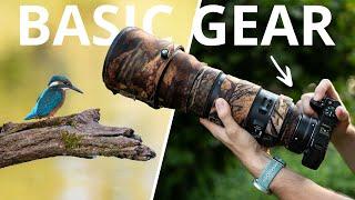 Photographing Kingfishers  Beginners Gear Guide  Wildlife Photography