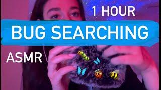 ASMR noa  1 hour of bug searching