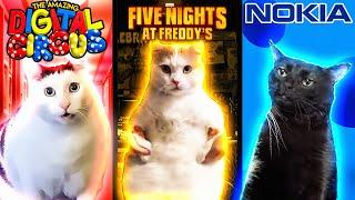 Meme Cats Different Universes