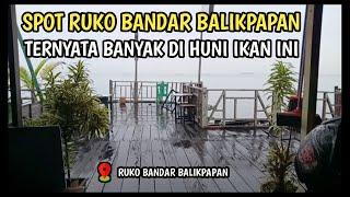 Spot Mancing  Di Balikpapan Yang Harus Kalian Coba Wal  Ruko Bandar Balikapapan