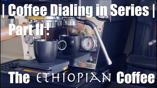 Coffee Dialing in Series  Part II The Ethiopian Coffee  Niche Zero  La Marzocco Linea Mini