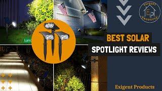 8 Best Solar Spotlights in 2024 Outdoor Solar Spot Light