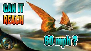 ARK Ascended Flyers Speed In MPH & KPH