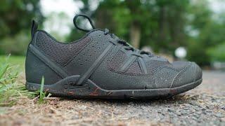 XERO PRIO  the best affordable barefoot shoes for cross-training