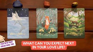 What Can You Expect Next in Your Love Life?  Timeless Reading