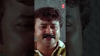 मैंने ये सब अपने भाई के लिए किया #jayaram #hindi #hindimoviescenes #comedy