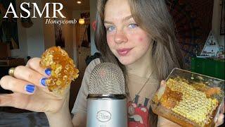 ASMR Eating Honeycomb  Mouth Sounds