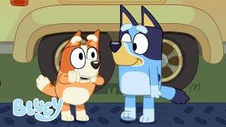 Bluey in Hindi  Fun in the sun ️  देखिये Hindi Cartoon for Kids