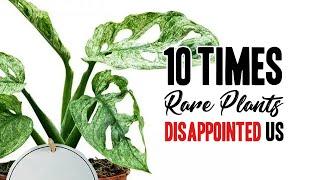 10 times Rare Houseplants disappointed us