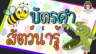 บัตรคำ หมวดสัตว์น่ารู้  - สื่อการเรียนรู้สำหรับเด็ก  ครูกวาง