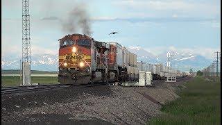 TRRS 531 BNSF 3-Train Meet @ Fort Piegan Montana