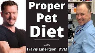 Is Kibble BAD for CatsDogs?? Best Pet Food Travis Einertson DVM