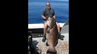 134 Lb Black Grouper