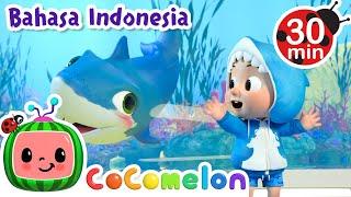 Baby Shark dan Kapal Selam  CoComelon Bahasa Indonesia - Lagu Anak Anak  Nursery Rhymes