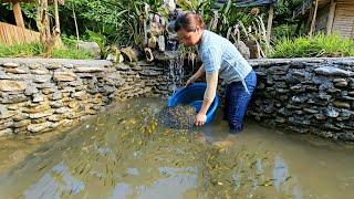 95 Days Girl alone builds koi pond from start to finish comes up with good ideas for your home