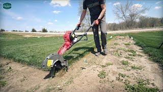 The LONG OVERDUE Project + Seed Update + Shady Lawn First Spring Look