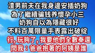 渣男前夫在我身邊安插奶狗，為了繼續骗钱养懷孕小三，奶狗自以為隱藏很好，不料百萬限量手表露出破绽，行，玩夠了，我要他們全數奉還，我一招讓他們流落街頭！#心靈回收站