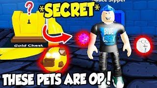 I GOT THE 3 SECRET PETS IN HOT SAUCE SIMULATOR AND THEY ARE INSANELY OP Roblox