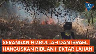 Hizbullah dan Israel Saling Serang Ribuan Hektar Lahan Pertanian Hangus Terbakar