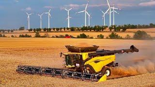 New Holland CR 11 with 50 ft MacDon Cutting unit during the barley harvest  Raw Sound 4K UHD