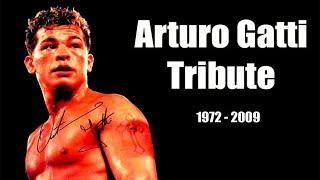 Arturo Gatti Highlights & Knockouts - The Thunder Tribute