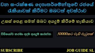 Government Job Vacancy Forest Department  After AL Job Vacancy  Sri Lanka Job 2024
