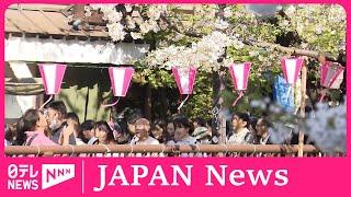 SAKURA-People flock to Tokyo’s cherry blossom viewing spot along Meguro River