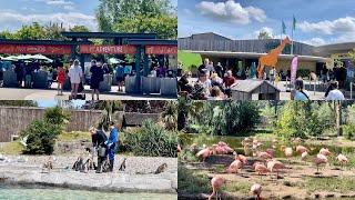 Largest zoo in U.K. Chester Zoo 2022 popular tourist attraction