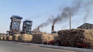 Tractors in Action  Sugarcane Season  Hamza Sugar Mills in Operation