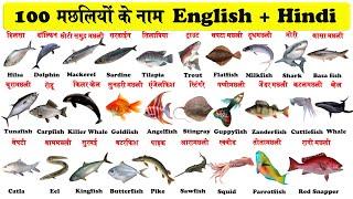 100 Fish Names in English and Hindi  मछलियों के नाम  indian fish name in hindi 