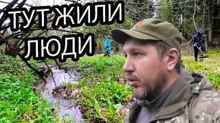 КОП НА ПОЛЯНКЕ В ЛЕСУ ГДЕ КОГДА ТО ЖИЛИ ЛЮДИ. ТУР