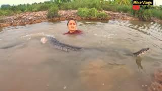 Snake swimming underwater