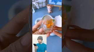 ice eggs #shorts #tiktok #funny