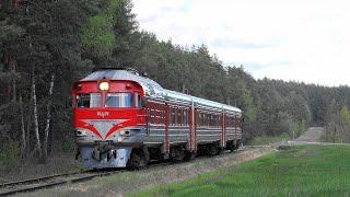 DMU DR1A-283 with a special train  Дизель-поезд ДР1А-283 со специалным поездом