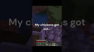 Chicken Hideout #shorts #meme #minecraft