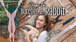 How to Butcher a Rabbit - Details + Tips & Tricks  Creme dArgent meat rabbits