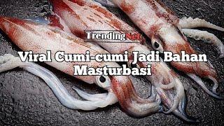 Berita Terbaru Viral Cumi-cumi Jadi Bahan Masturbasi