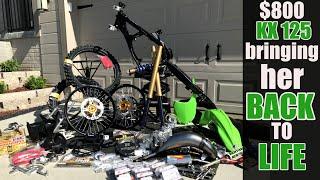 EPIC $800 KX125 resurrection - 2 stroke dirt bike build