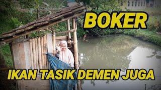 BOKER   TERNYATA IKAN DEMEN JUGA...