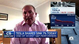 Musks Twitter deal has been a laggard on Tesla stock says Wedbushs Dan Ives