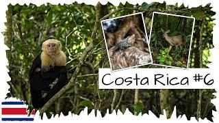 Der Manuel Antonio Nationalpark • Wir wurden wirklich überrascht   Costa Rica Reise 06 • Weltreise