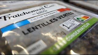 NatUp relocalise la production de lentilles en Normandie