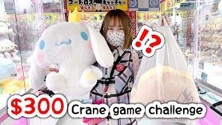 JAPAN $300 CRANE GAME CHALLENGE