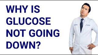 Why is Your Blood Sugar NOT Under Control Although You’re Trying.