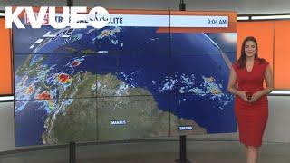 Talking Tropics - June 26 2024 Monitoring activity in the equator