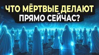 ЧТО МЁРТВЫЕ ЛЮДИ ДЕЛАЮТ ПРЯМО СЕЙЧАС?  Dawah Медиа